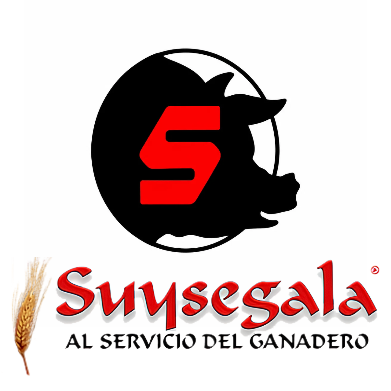 SUYSEGALA SCA